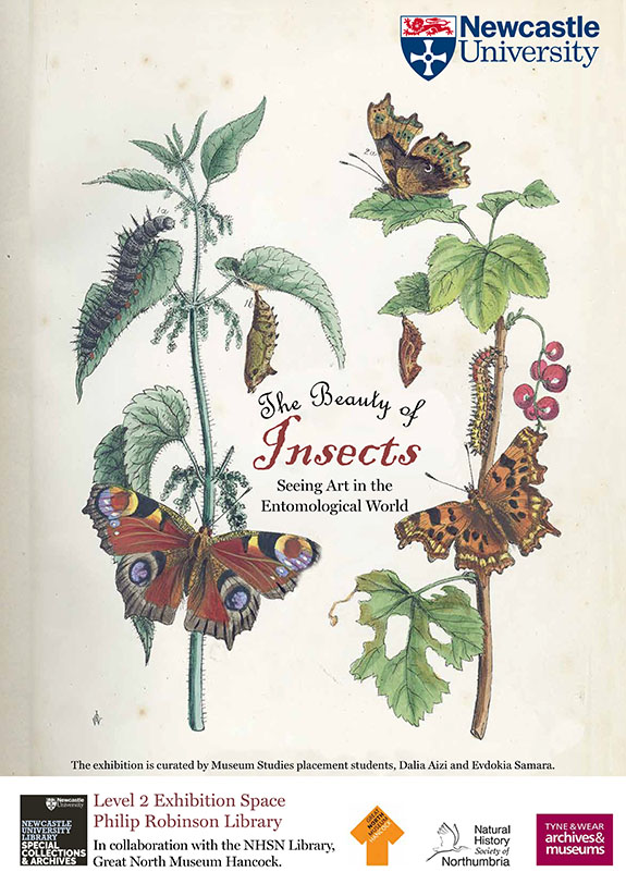 Insects illustration on a